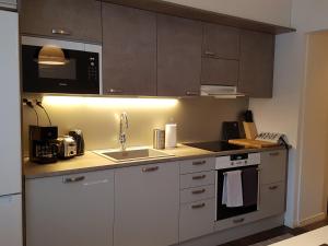 A kitchen or kitchenette at Apartment Skylights