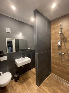 a bathroom with a sink and a toilet and a shower at Apartmenthaus Zeuthen 3 in Zeuthen