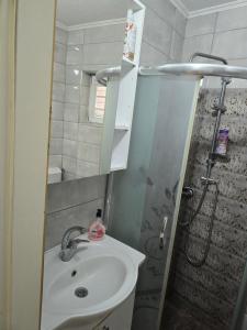 a small bathroom with a sink and a shower at Papillon in Visoko