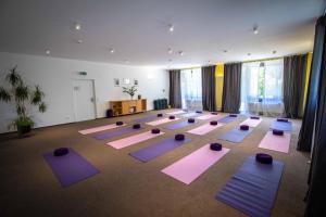 a large room with purple yoga mats on the floor at Shree Peetha Nilaya - Hindu Ashram in Springen