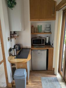 a small kitchen with a counter and a microwave at Sunnyside Annexe in Oxford