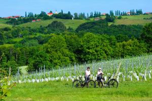 two people riding bikes in a field near a vineyard at Green Touch in Ivanjkovci
