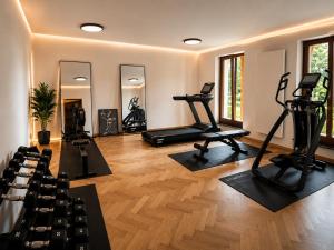 ein Fitnessstudio mit Laufbändern, Crosstrainern und Spiegeln in der Unterkunft Pawlow History Hotel in Wolkenstein