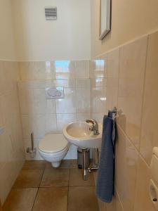 a small bathroom with a toilet and a sink at Familie Jäger in Innerbraz