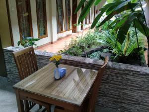 Aed väljaspool majutusasutust Aloha Hotel Yogyakarta