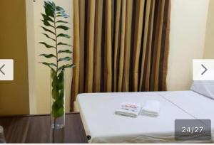a vase with a plant in a room at B&S Orchids Suites Hotel in Dipolog