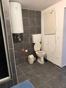 a bathroom with a toilet and a shower at Thomas in Judenburg