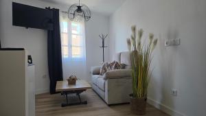 a living room with a couch and a table at Loft Casco Viejo 4 in Ourense