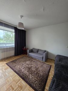 a living room with a couch and a rug at Studio at Tottinkatu in Savonlinna