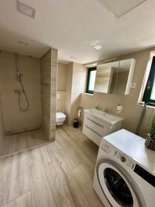 a bathroom with a toilet and a washing machine at Hiša Wambrechtsamer - House Wambrechtsamer in Planina pri Sevnici +60 photos