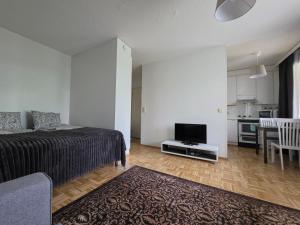 a bedroom with a bed and a tv and a kitchen at Studio at Tottinkatu in Savonlinna