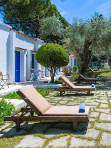 a group of chaise lounges in a yard at Adella Garden Marina Hotel in Güvercin Adası