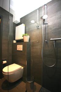 a bathroom with a toilet and a glass shower at Überlinger Seeapartment 1 in Überlingen +3 photos
