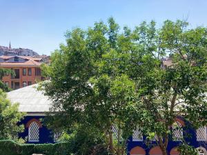 a blue building with a tree in front of it at Balat Boutique Hotel in Istanbul