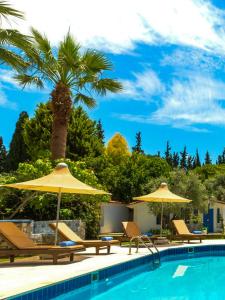 a pool with chairs and umbrellas and a palm tree at Adella Garden Marina Hotel in Güvercin Adası