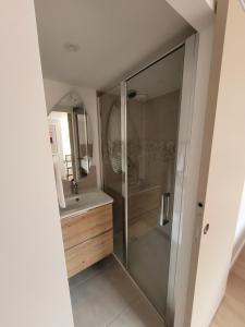 a bathroom with a shower and a sink at Les Appartements de Millau in Millau