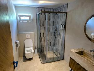 a bathroom with a shower and a toilet and a sink at AMZA Valbona Mountain Retreat in Valbonë +55 photos