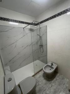 a bathroom with a shower and a toilet and a sink at Casa do Pateo in Évora +21 photos