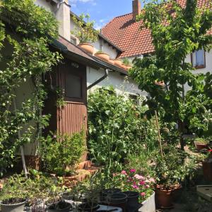 a garden in front of a house with plants at trouve ferienwohnung in Doberlug-Kirchhain +6 photos