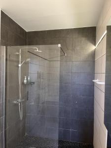 a bathroom with a shower with a glass door at Gîte Chez Paddy in Ladoix Serrigny