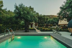 a swimming pool in a yard with a house at My Secret Mojo, Private Luxury Retreat Near the Beach in Lefkada +88 photos