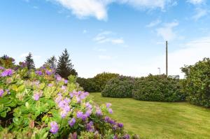 a garden with purple flowers and bushes at The Smithy at 52 Vatisker in Stornoway