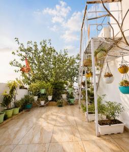 a garden with potted plants on a patio at RK Homes in Delhi