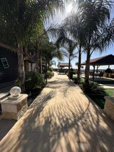 a walkway with palm trees and a building at carmel cabins suite 4 in ‘Isfiyā +28 photos