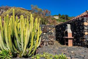 a cactus in a garden next to a stone wall at Celeste in Mazo