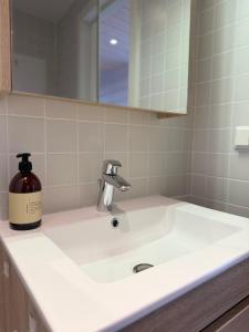 a bathroom sink with a bottle of soap on it at Aurora Sea Lodges in Karpbukt