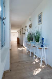 a hallway with white tables and potted plants at Tisza-tavi Kiserdő Vendégház in Tiszaderzs