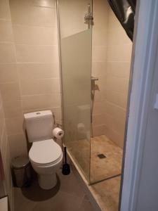 a bathroom with a toilet and a glass shower at Studio UN Hagoort in Agde