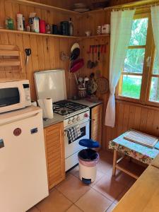 a kitchen with a stove and a microwave at Ivói Faház in Izvoare
