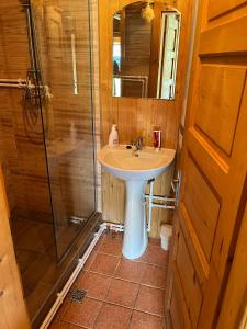 a bathroom with a sink and a shower at Ivói Faház in Izvoare