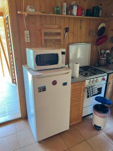 a kitchen with a microwave on top of a refrigerator at Ivói Faház in Izvoare