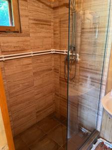 a shower with a glass door in a bathroom at Ivói Faház in Izvoare +10 photos