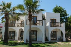 a white house with palm trees in front of it at Gumbet Cove Hotel in Gümbet