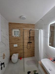 a bathroom with a shower and a toilet and a sink at Apartmani Morѐll 1 in Novalja +27 photos