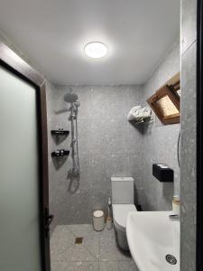 a bathroom with a white toilet and a sink at Haus Georg in Zugdidi +13 photos