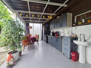 a kitchen with a sink and a table with a plant at Haus Georg in Zugdidi