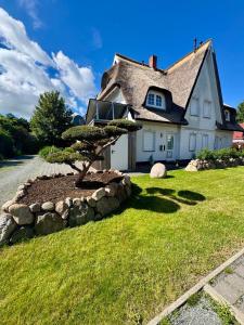 a house with a thatched roof and a tree in front at Ferienhäuser Doppelhaushälfte Hahn in Wustrow