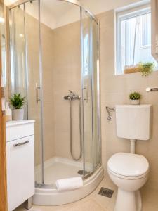 a bathroom with a shower and a toilet at APARTMENTS JELENA 1,2,3,4 & 5 SUPETAR - free parking in Supetar +34 photos