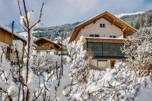 ein Haus im Schnee mit schneebedeckten Bäumen in der Unterkunft Ferienwohnung Wald in Wald im Pinzgau