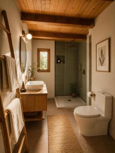 a bathroom with a toilet and a sink and a shower at La Cabane de l'autre monde in Chavin