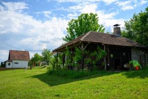 an old house on a grassy hill in a field at Kuća Sokolovića in Zaječar
