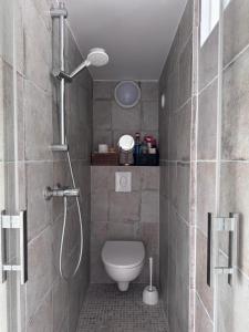 a bathroom with a shower and a toilet in it at Le miroir secret in Anglet