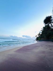 a sandy beach with trees and the ocean at Earthora Escape in Dickwella