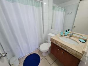 a bathroom with a toilet and a sink and a shower at Departamentos Concepcion Centro in Concepción