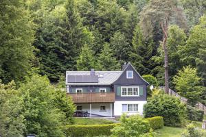 a house on a hill with trees at Tannenhäuschen Sauerland in Schmallenberg