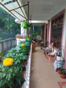 a balcony with flowers and plants in pots at Laligurash in Mirik